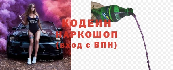 спиды Богородицк
