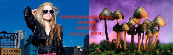 спиды Богородицк