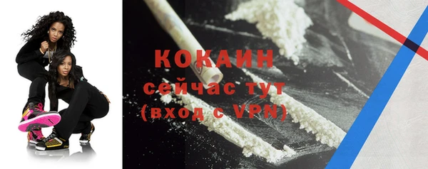 ГАЛЛЮЦИНОГЕННЫЕ ГРИБЫ Богданович