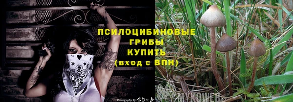 спиды Богородицк