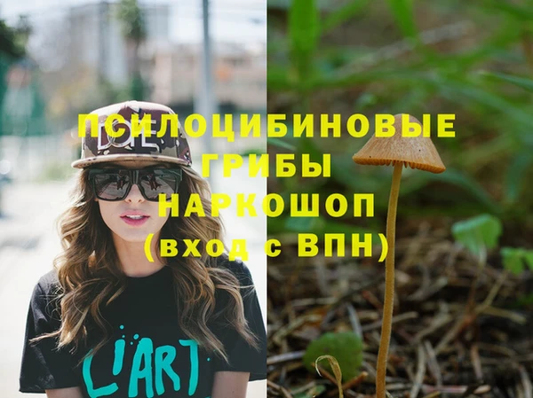 дмт Бронницы