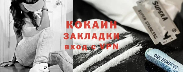 ГАЛЛЮЦИНОГЕННЫЕ ГРИБЫ Богданович