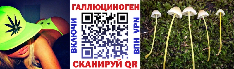 Псилоцибиновые грибы Cubensis  Северо-Курильск 